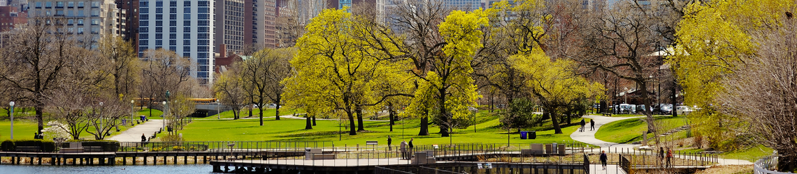 Chicago park