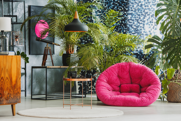 Tropical Plant Decor