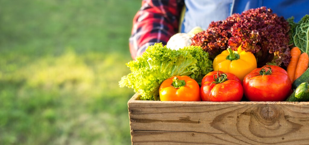 crate with vegetables from garden