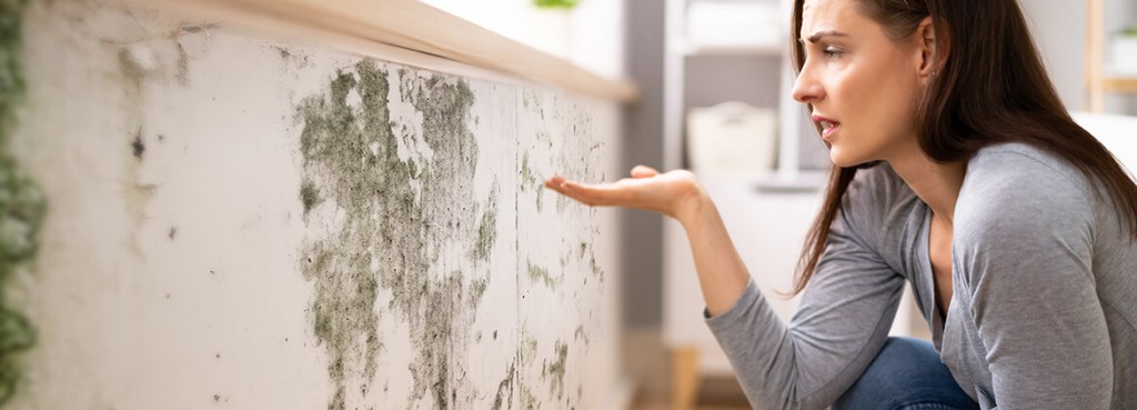 What To Look out for During an Open House for a Single-Family Rental red flags during open house