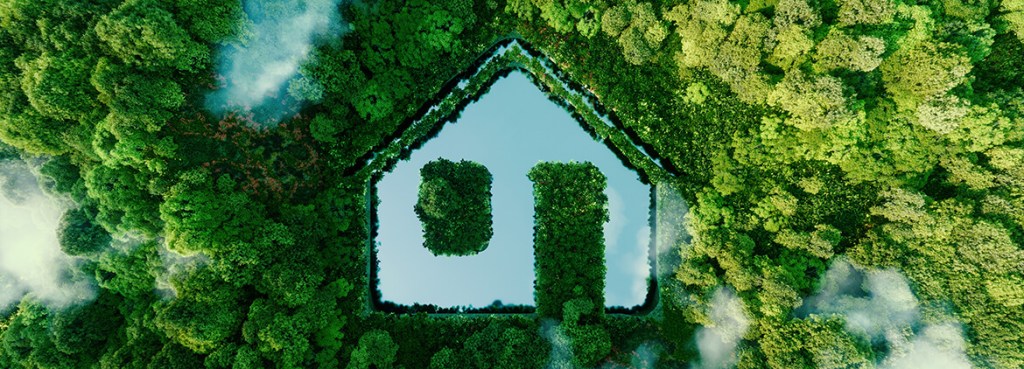 green living house for rent