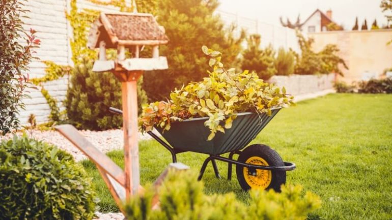 cleaning the yard
