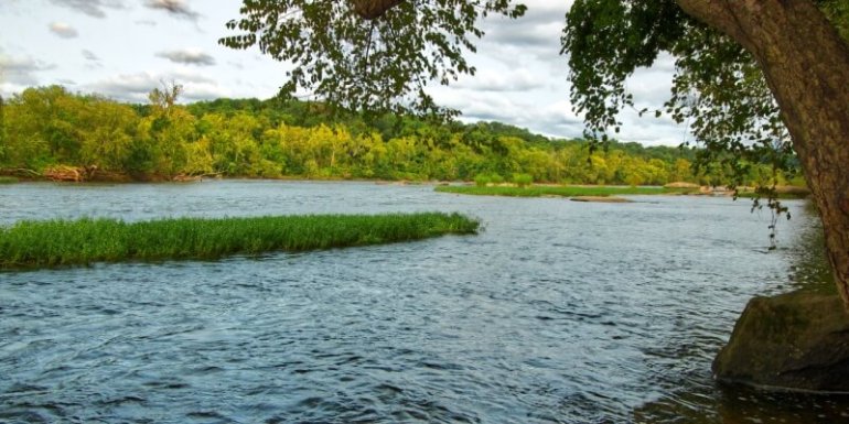 Richmond nature