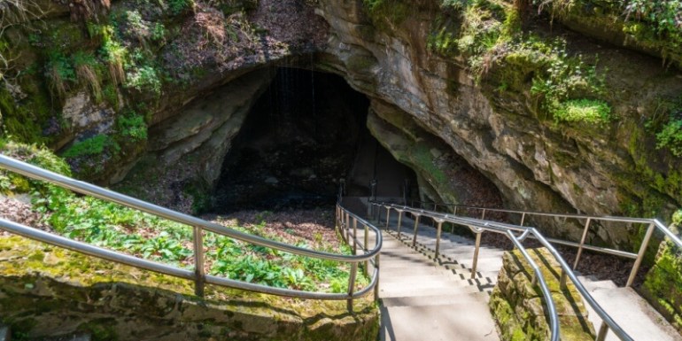 Mammoth cave national park